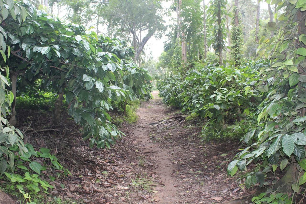 Whistling Woods Farm Stay Kushālnagar Zewnętrze zdjęcie