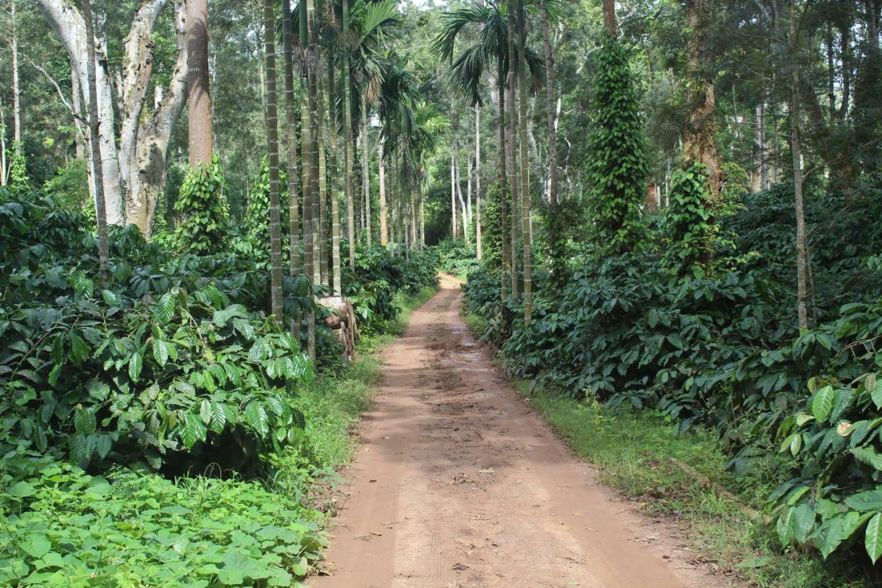 Whistling Woods Farm Stay Kushālnagar Zewnętrze zdjęcie