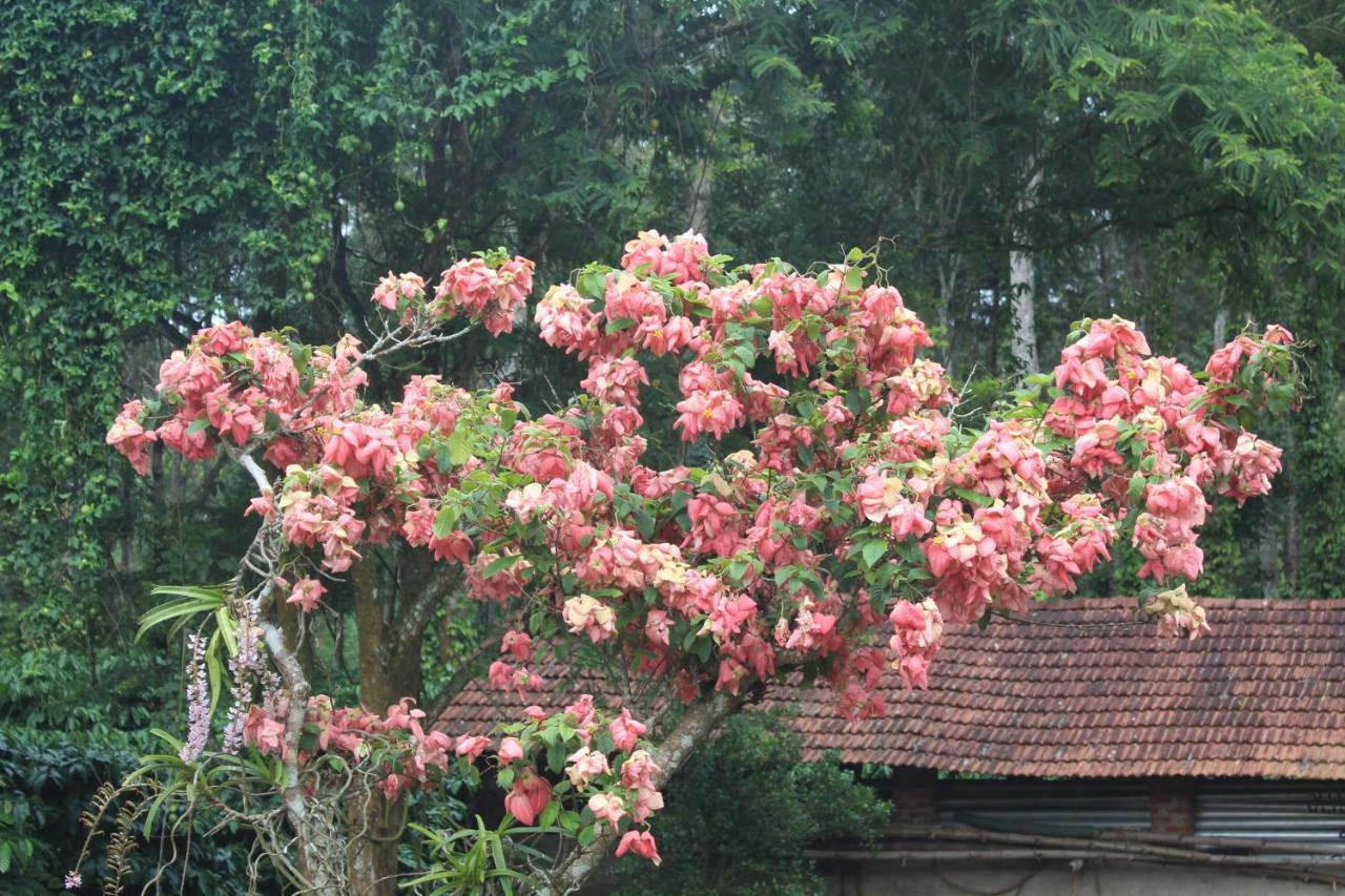 Whistling Woods Farm Stay Kushālnagar Zewnętrze zdjęcie